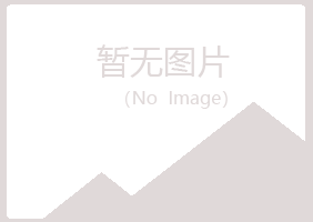 南川晓夏会计有限公司